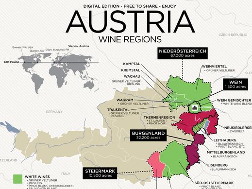 Osztrák borvidékek, Wein und Co Borkereskedés